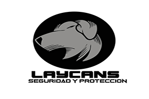 Diseño de Logo